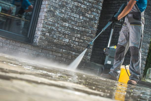 Best Spring Cleaning  in Cambridge, MN